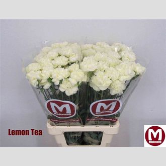 гвоздика Lemon Tea