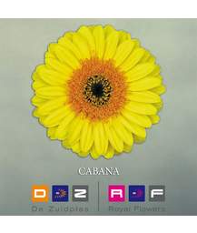 гербера Cabana FFP