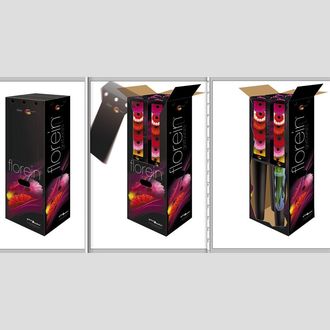 гербера X96 In Aquabox FLOREIN