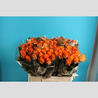 роза Per Bunch Marie Claire