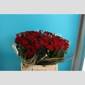 роза Per Bunch Passion