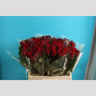 роза Per Bunch Upper Class