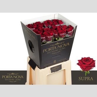 роза Red Naomi Supra