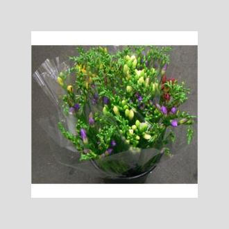 фрезия Per Bunch
