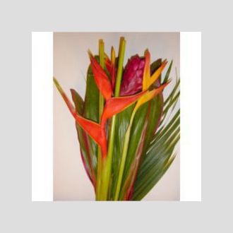 хелекония Bouquet