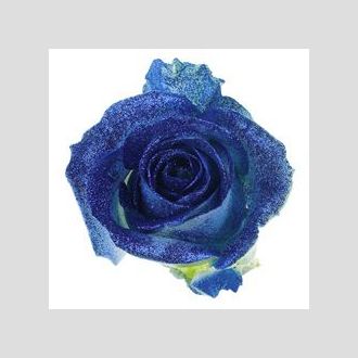 роза Avalanche+ Blue Crystal Look