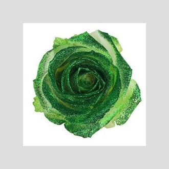 роза Avalanche+Green Crystal Look