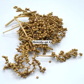 Ветка canellia сухоцвет