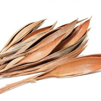 кокос мини