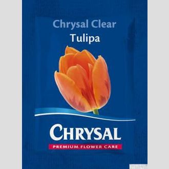 Chrysal Clear Тюльпан