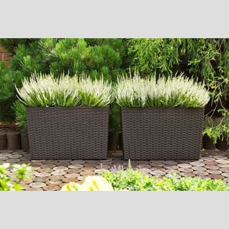 Цветник (пластик) Lamela Werbena ротанг